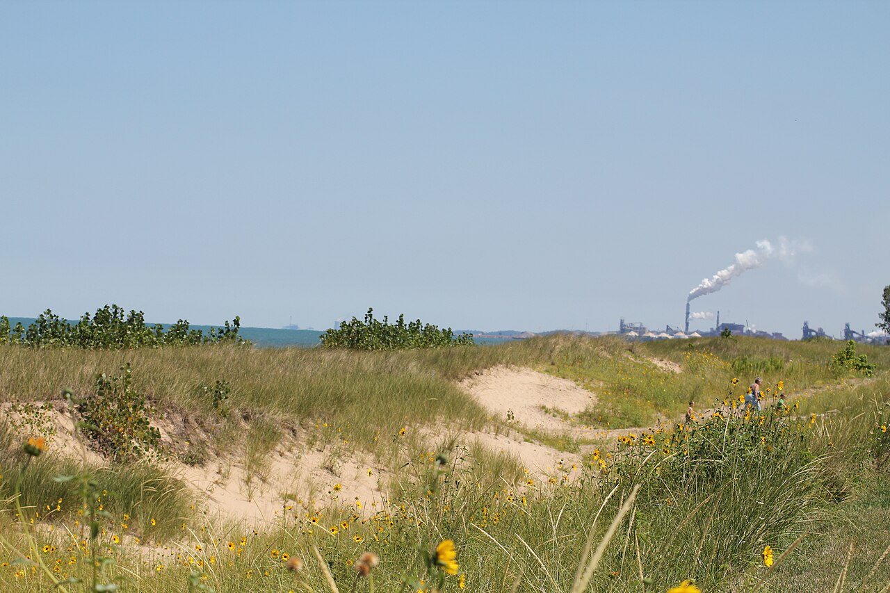 Dunes along the Lake Michigan shoreline in Marquette Park, Gary.