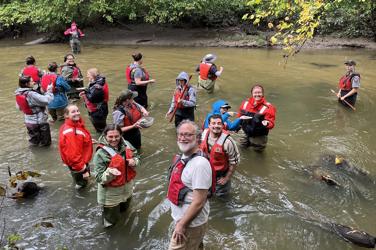 About 20 people in waders and red life vests stand in a shallow, tree-lined river holding small mussels before releasing them