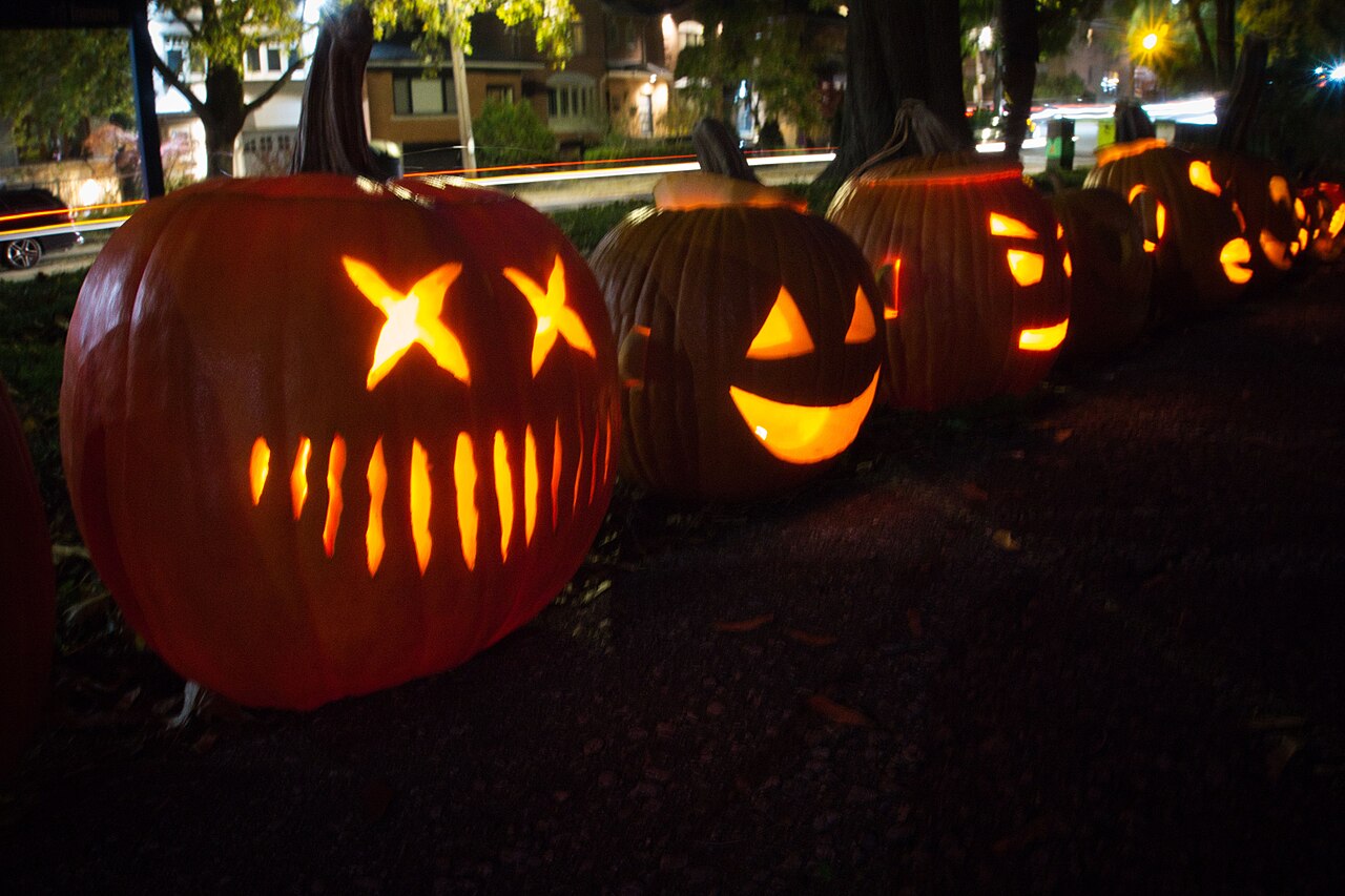 Row of carved and lit jack-o-lanterns on display at a public park Halloween event
