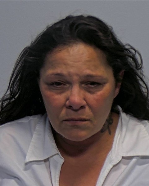 Booking photo of Kimberly Nicole Johnson, Porter County Jail public roster